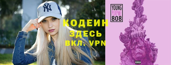 индика Бородино