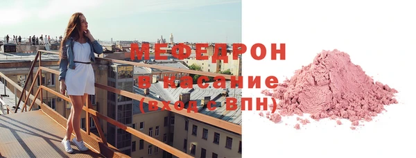 индика Бородино