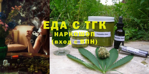 индика Бородино