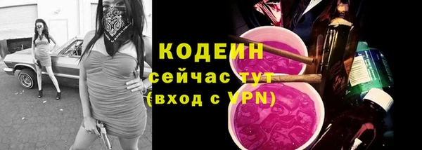 МДПВ Бронницы