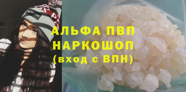 индика Бородино
