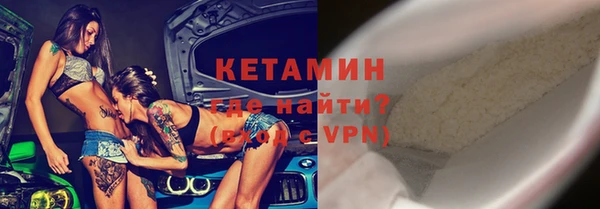 индика Бородино