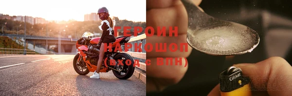 индика Бородино