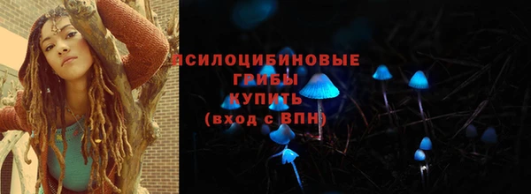 индика Бородино