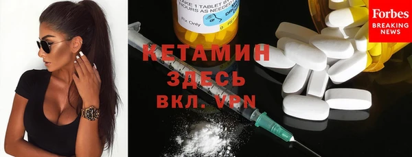 индика Бородино