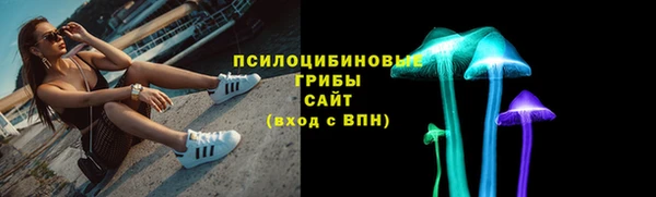 МДПВ Бронницы