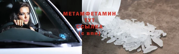 индика Бородино