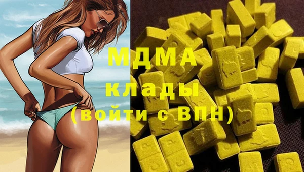 индика Бородино