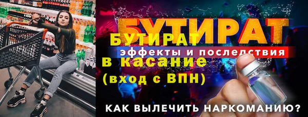 индика Бородино