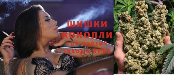 МДПВ Бронницы