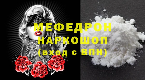 индика Бородино