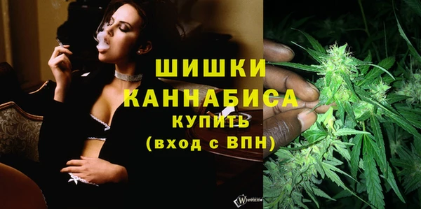 индика Белокуриха