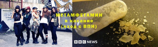индика Бородино