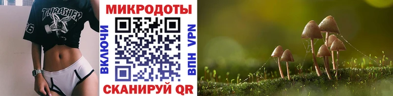 цена наркотик  Верхотурье  Галлюциногенные грибы Cubensis 