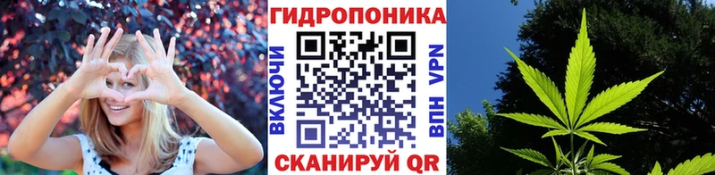 Бошки Шишки VHQ  продажа наркотиков  Верхотурье 